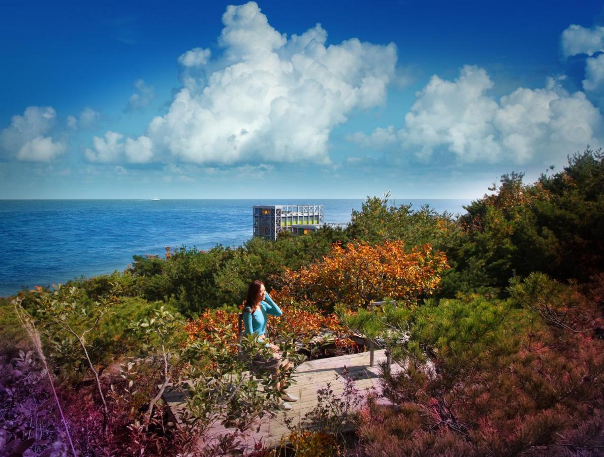 Haslla Art World Museum Hotel Gangneung Buitenkant foto